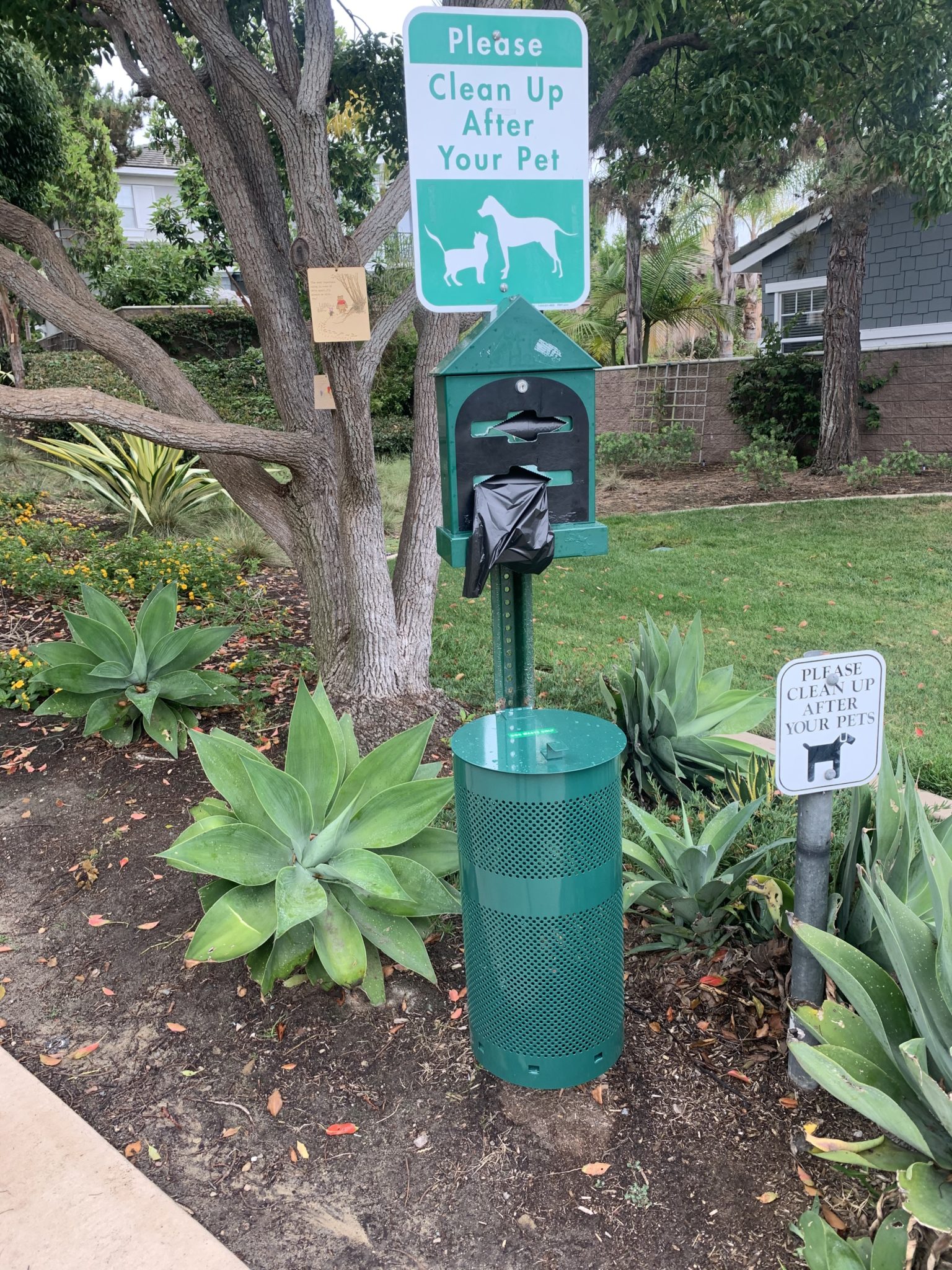 Update on Community Infrastructure and City Trails Improvements ...