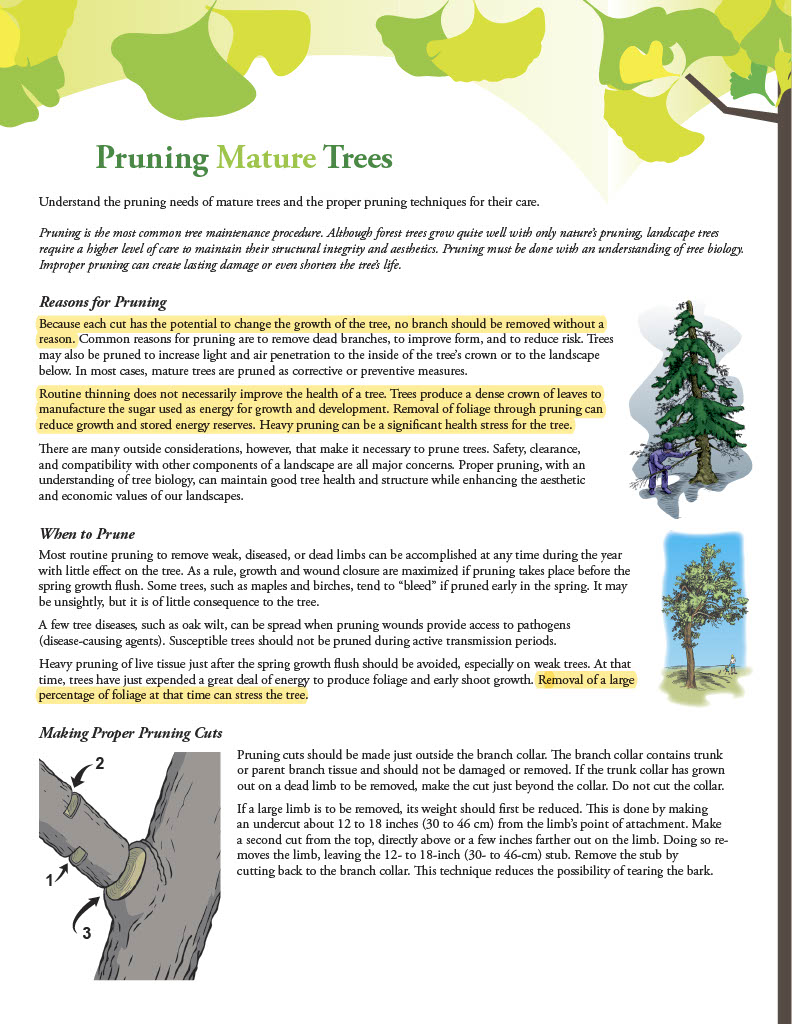 Pruning Mature Trees guide